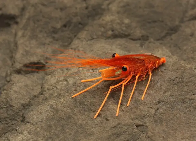 Easy Shrimp Legs 2.0 Super Fl. Orange 6st 