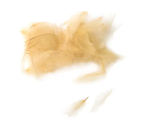 Flydressing peremium CDC Cream Högkvalitativ CDC i naturliga färger 