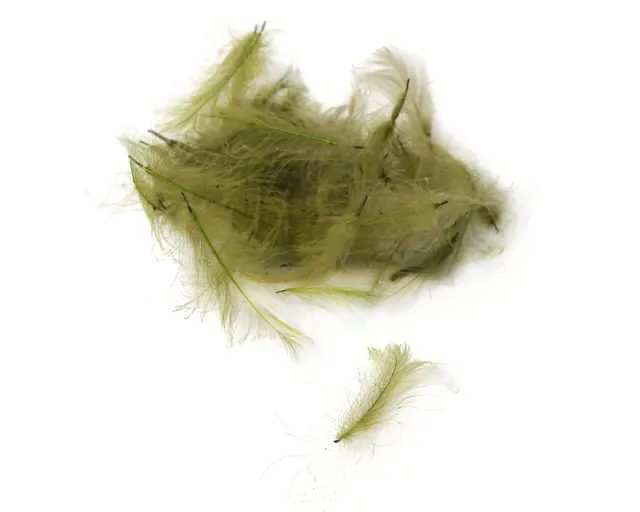 Flydressing peremium CDC Olive Högkvalitativ CDC i naturliga färger 