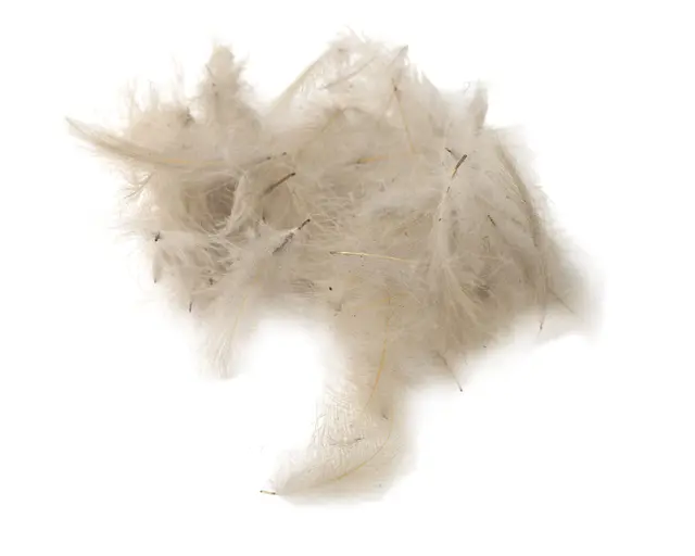 Flydressing peremium CDC Pale Pardo Högkvalitativ CDC i naturliga färger 