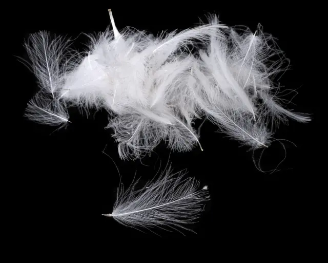 Flydressing peremium CDC White Högkvalitativ CDC i naturliga färger 