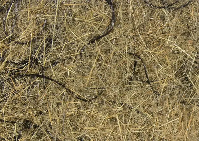 Hareline Hare'e Wiggle Dub #369 Tan 