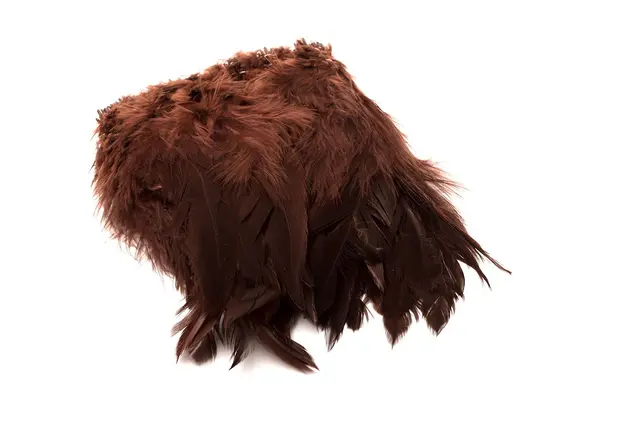 Wapsi Schlappen Short Brown Kvalitetsfjädrar för flugbindning 