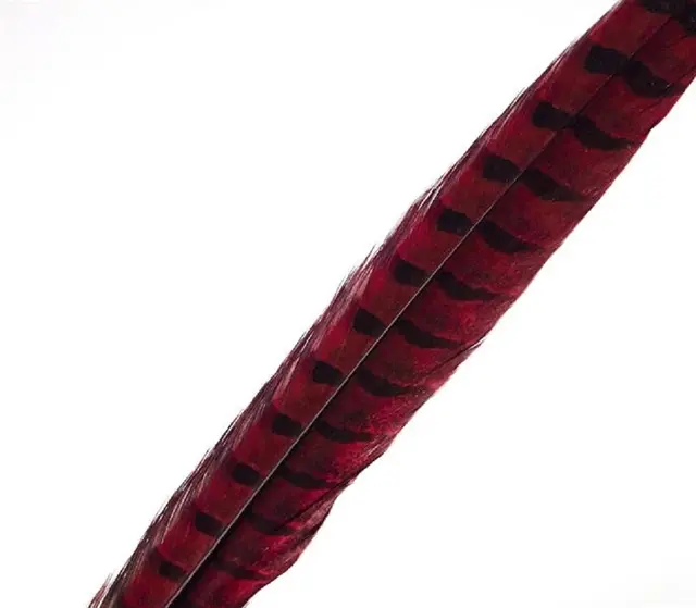 Wapsi Pheseant Rooster Middle Tail Red 