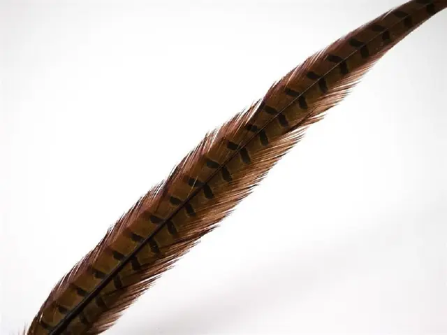 Wapsi Pheseant Rooster Middle Tail Rusty Brown 