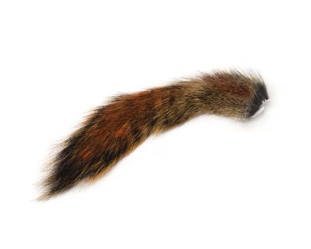 Wapsi Squirrel Tail Natural Pine Remsor av ekkorre-svans 