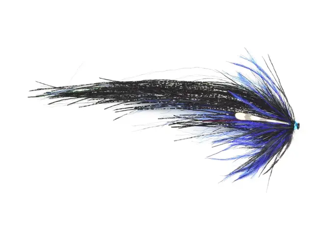 Frödin Flash Wing Series Charcoal 6cm Charcoal Black 