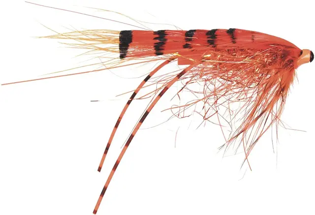 Micro Series G.P. Special 1,5cm Mikael Frödin Fly Design 