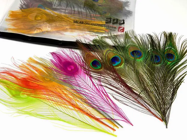 Frödin Peacock Eye Feather Pack 10 färger, 50 fjädrar 