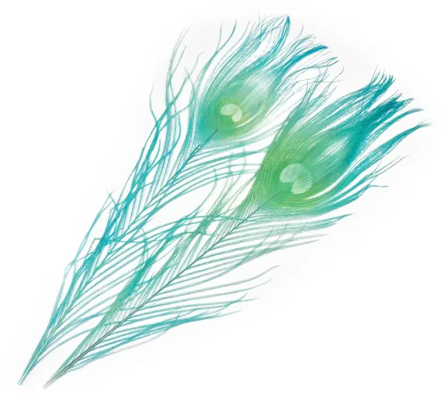 Frödin Peacock Eye Feathers B&D Clear Clearwater Blue 