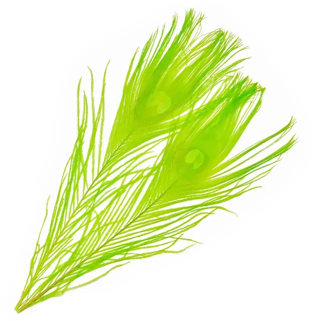 Frödin Peacock Eye Feathers B&D Green B&D Greenlander Green 