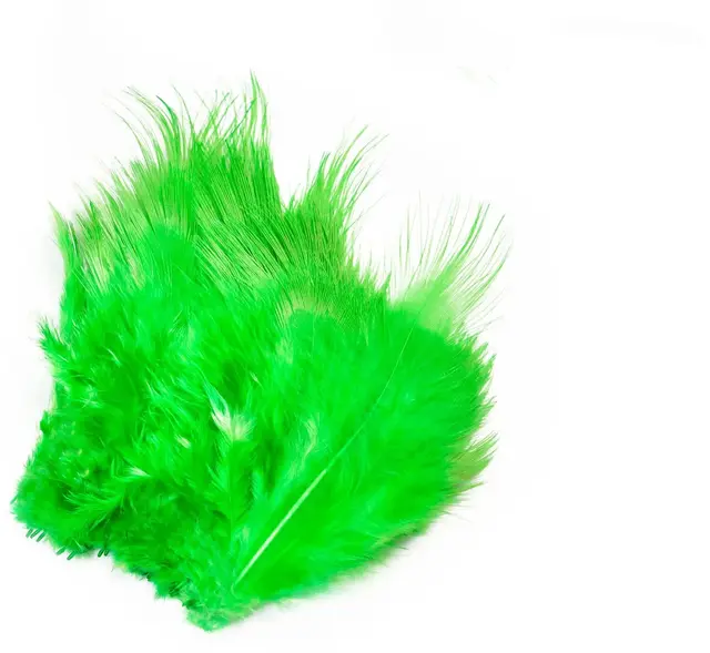 Frödin Pheasant Rump Feather B&D Gaudy G B&D Gaudy Green 