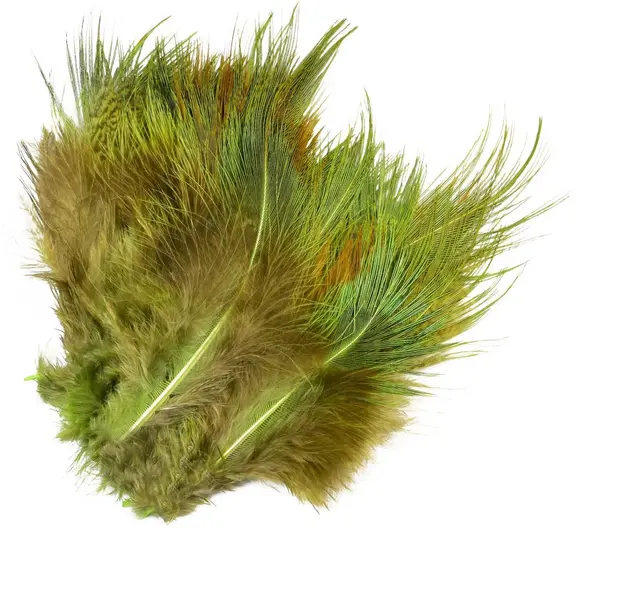 Frödin Pheasant Rump Feather Gaudy Green Gaudy Green 