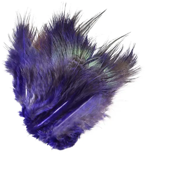 Frödin Pheasant Rump Feather M Purple Mikkeli Purple 