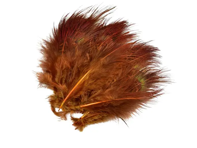 Frödin Pheasant Rump Feather Pahtakorva Pahtakorva Brown 