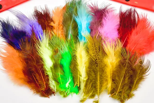 Frödin Pheasant Rump Feather Pack 20 färger, 100 fjädrar 