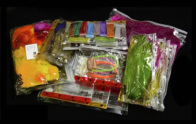 SOS Salar Organizing System S Frödin Flies 