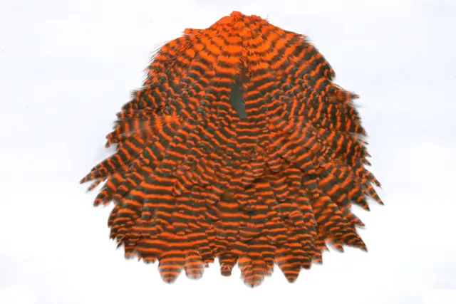 Futurefly Signature Hen Saddle Orange Grizzly 