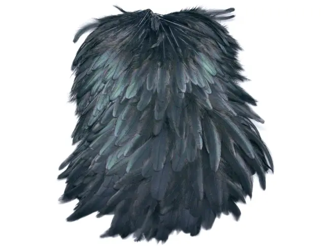 Futurefly Signature Hen Saddle Black 