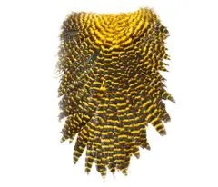 American Saddle Sunburst/Yellow Grizzly FutureFly