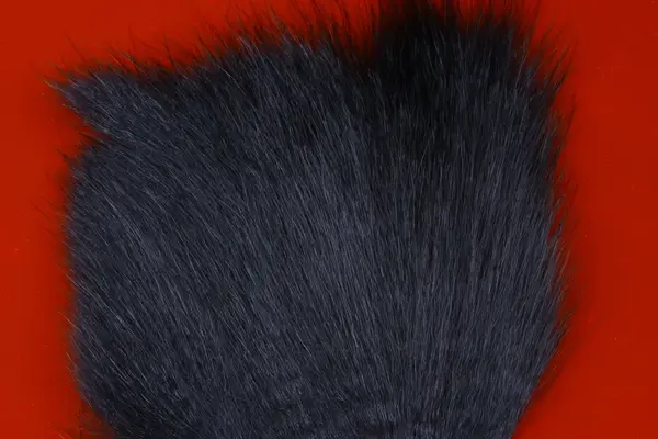 American Opossum Black FutureFly 