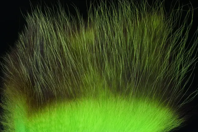 American Opossum Chartreuse FutureFly 