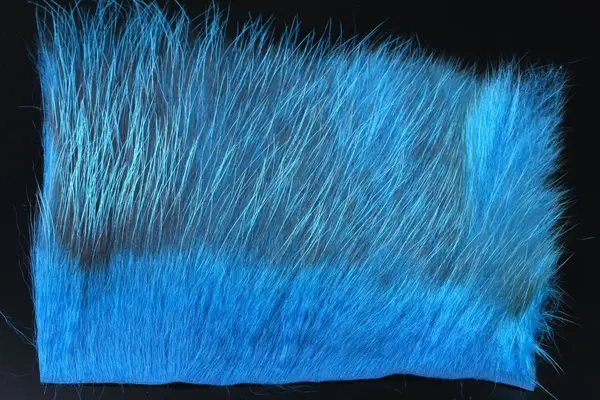 American Opossum Kingfisher Blue FutureFly 