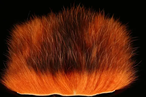 American Opossum Ginger FutureFly 