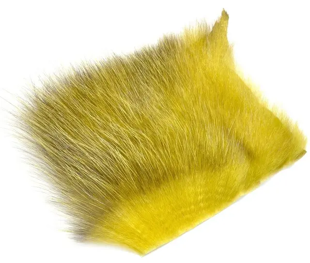 American Opossum Oliver#2 FutureFly 