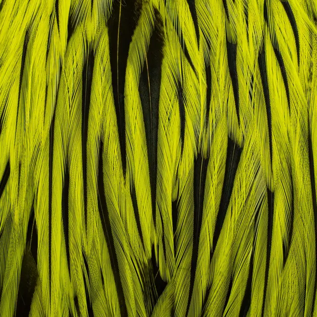 FF Freshwater Rooster saddle Fl.YellowCh FutureFly Grizzly hanenakke 