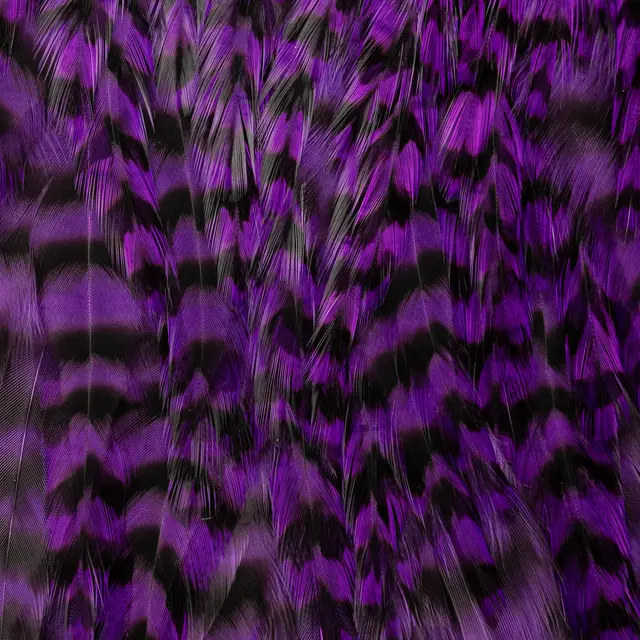 FF Freshwater Rooster saddle Purple FutureFly Grizzly hanenakke 