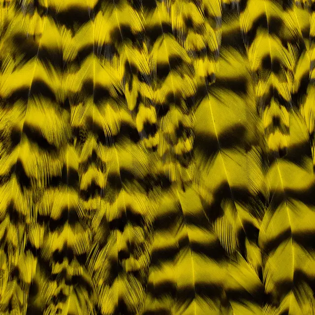 FF Freshwater Rooster saddle Yellow FutureFly Grizzly hanenakke 