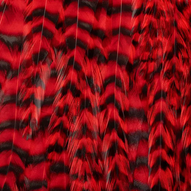 FF Freshwater Rooster saddle Red FutureFly Grizzly hanenakke 