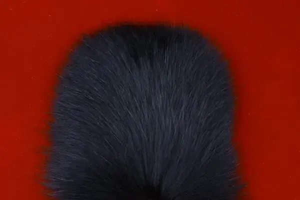 Shadow Fox - Black FutureFly 