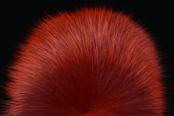 Shadow Fox - Phatagorva/Dark Dust FutureFly 