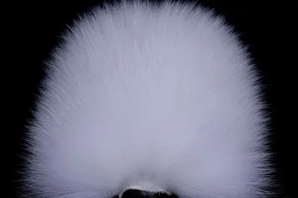 Shadow Fox - White FutureFly 