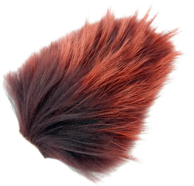 Tanuki - Phatagorva/Dark Dust FutureFly 