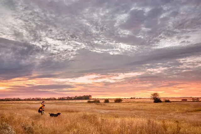 Garmin Alpha 10 Bli med på jakten med handhållen enhet 