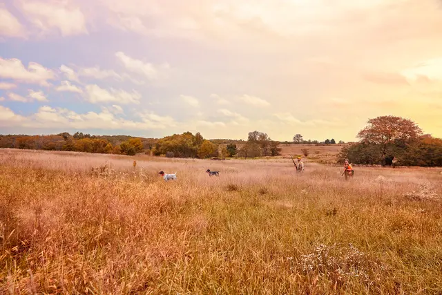 Garmin Alpha 10 Bli med på jakten med handhållen enhet 
