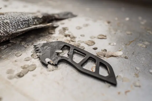 Gerber Gutsy Gut Scoop Scaler Silver Fjällskrapare med buköppnare 