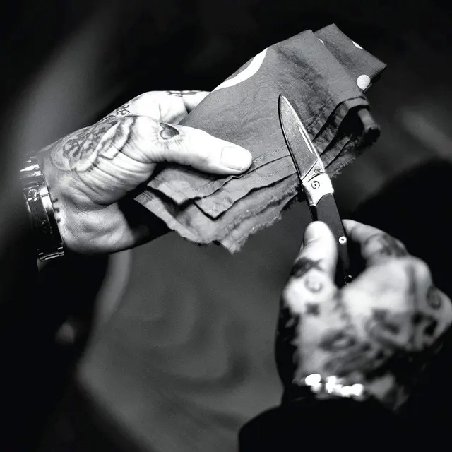 Gerber Wingtip Green Kompakt klassisk fällkniv 