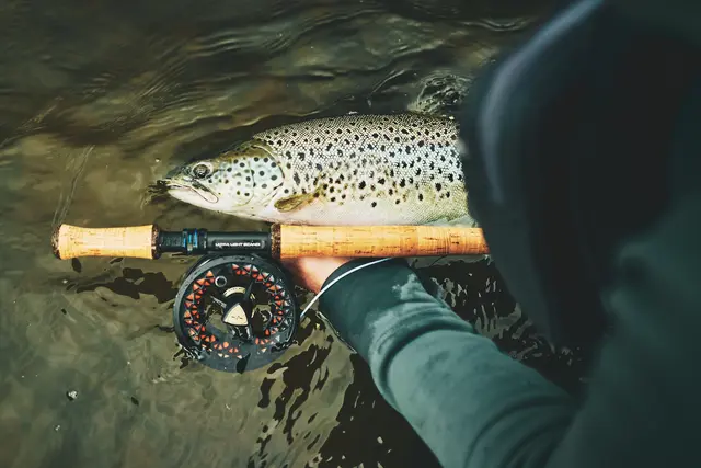 Guideline ULS 2.0 #6 10'6" 