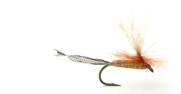 Vulgata #10 Köp 12 flugor och få en gratis flugask 