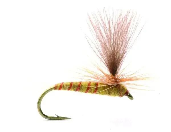 Ignita #14 Köp 12 flugor och få en gratis flugask 