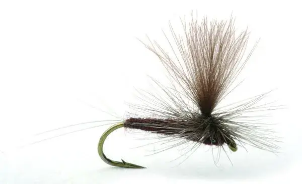 Vespertina #14 Köp 12 flugor och få en gratis flugask 