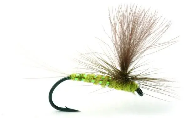 Olive Flash #13 Köp 12 flugor och få en gratis flugask 