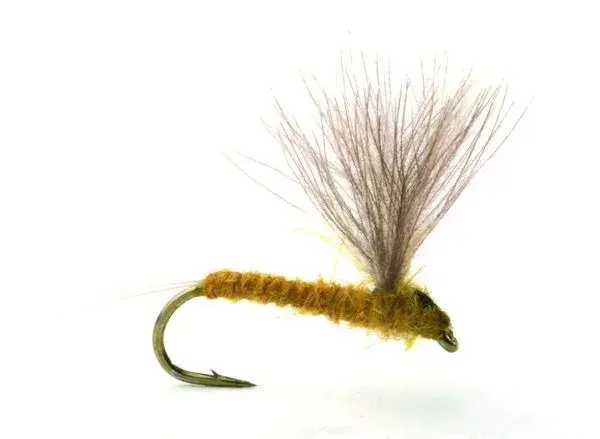 Rune's CdC No-hackle Light Olive #14 Köp 12 flugor och få en gratis flugask 