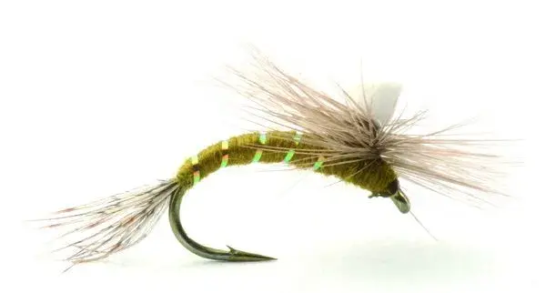 Baetis Kläckare Oliv #18 Köp 12 flugor och få en gratis flugask 