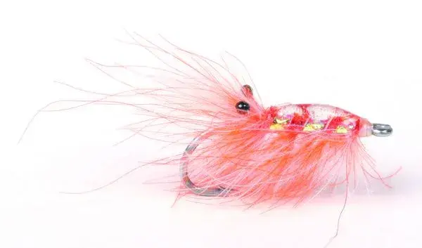Runar's CdC Räka Orange #6 Kvalitétsflugor från kända leverantörer 
