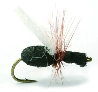 Foam Flying Ant #12 K&#246;p 12 flugor och f&#229; en gratis flugask